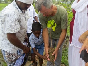 arbre-plante-enfant-vellai-thamarai